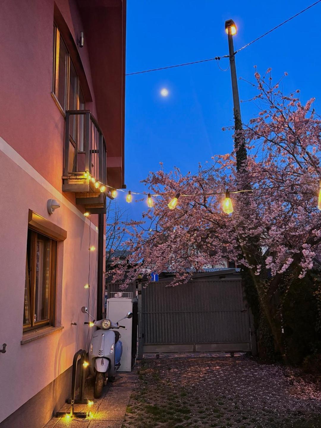 Buzahouse Pansiyon Ljubljana Dış mekan fotoğraf